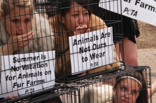 Fur Farm Cruelty | Foreign Students News