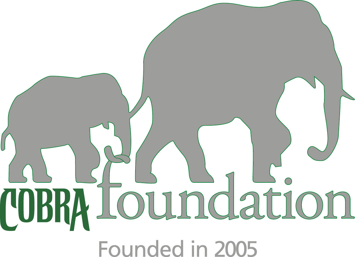 Cobra Foundation