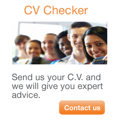 CV Checker Service