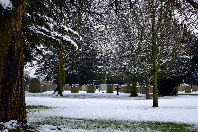 North Yorkshire Snow