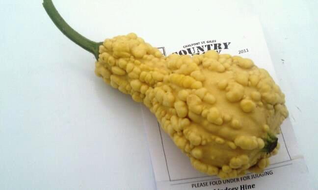 Strange Vegetable